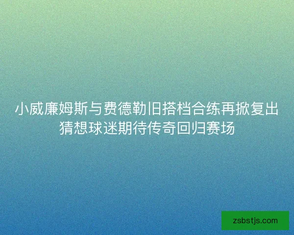小威廉姆斯与费德勒旧搭档合练再掀复出猜想球迷期待传奇回归赛场